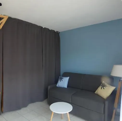 Appartement Joli 28m² 200m Avec Balcon Saint-Hilaire-de-Riez