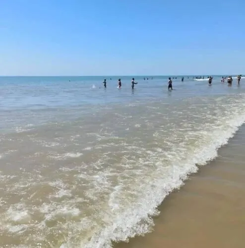 Joli 28m² 200m Avec Balcon Appartement Saint-Hilaire-de-Riez